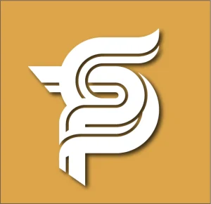 Payam Seidi logo – minimalist design with gold (#DCA54A) accent, symbolizing professionalism and digital innovation.